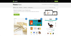 Complete Shopify Store Setup